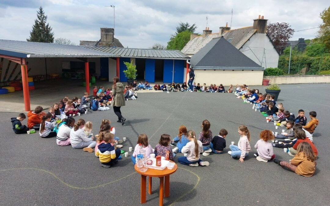 Repas solidaire
