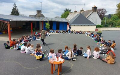 Repas solidaire